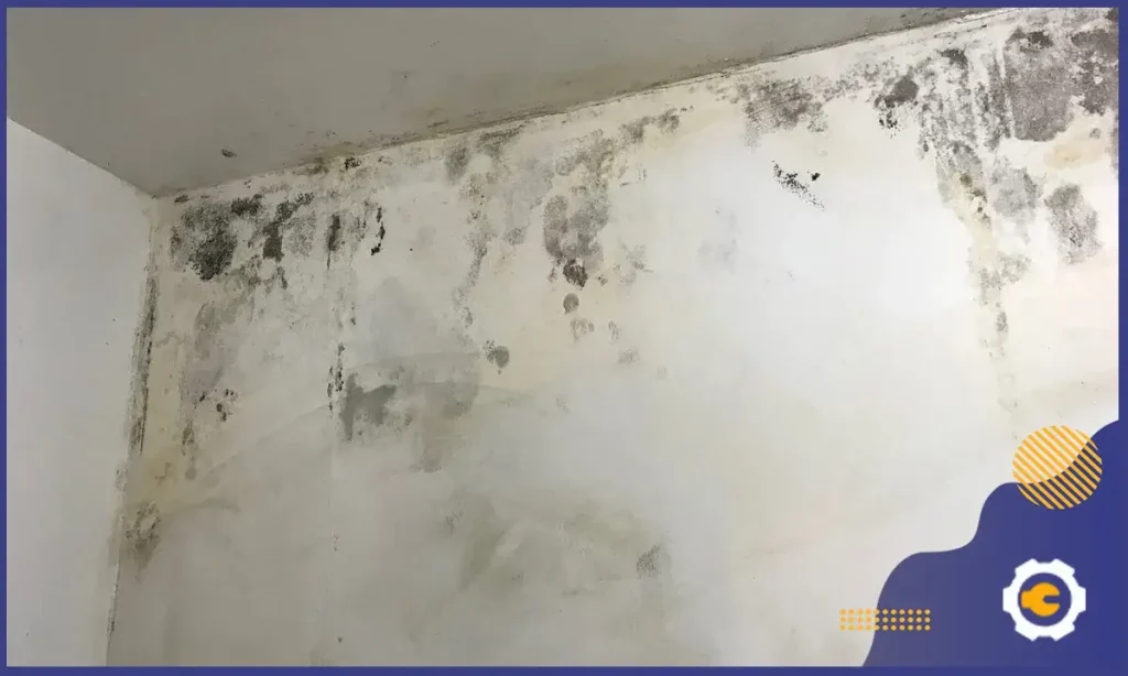 عزل بدرومات المنازل من التسربات بجدة