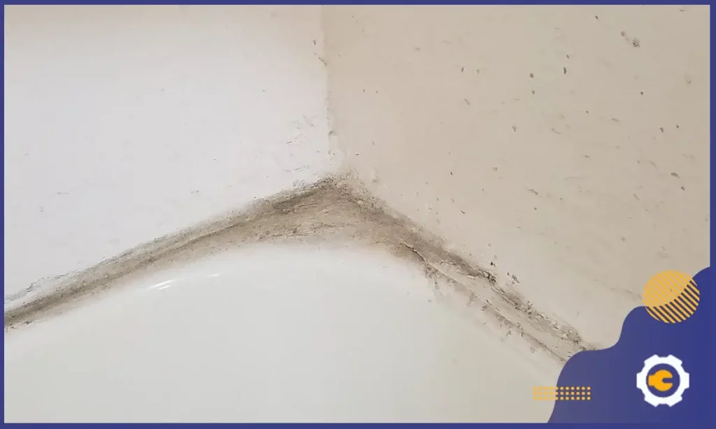 مراحل تنفيذ خدمة كشف تسربات المياه بالجيزة